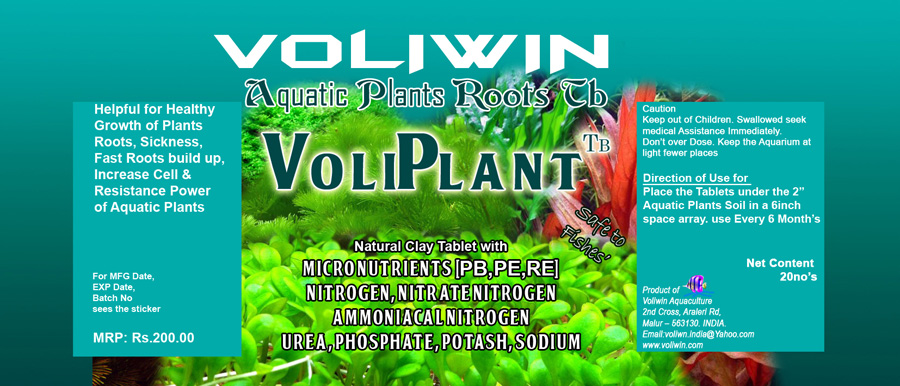 voliwin plants tb