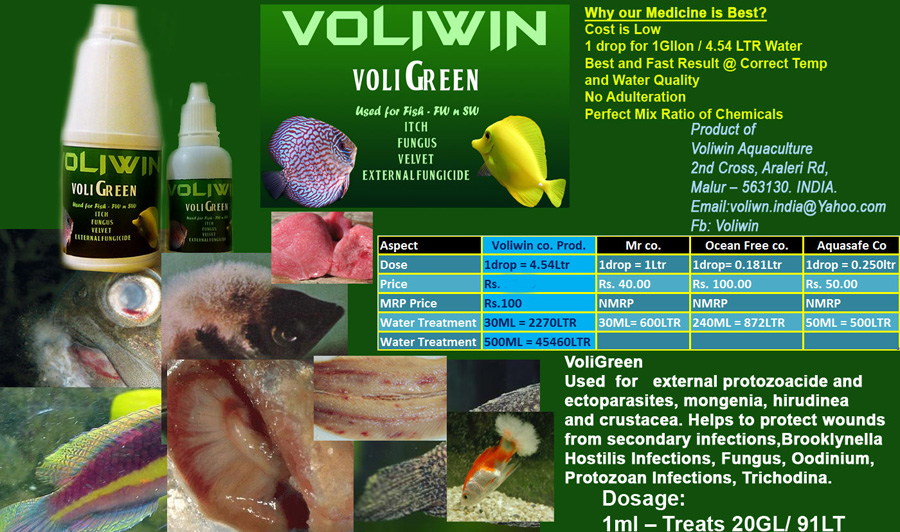 voligreen