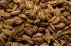 Carom Seeds