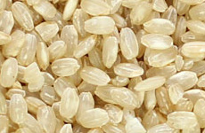 Short Grain Brown Rice