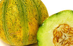 OgenMelon