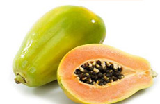 Solo Papaya