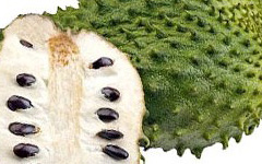 SourSop