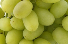 Thompson Seedless Grapes