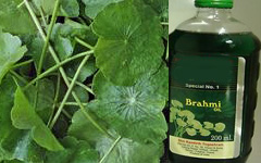 Brahami Hair oil