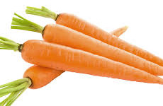 Carrot