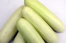 Cucumber - White