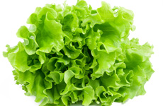 Lettuce