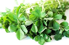 Methi