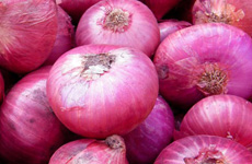 Onion