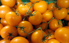 Orange CherryTomato