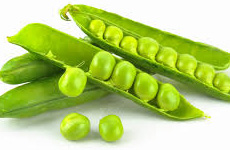 Pea- Hybrid