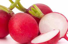 Radish- Red