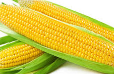 Sweetcorn