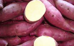 yam